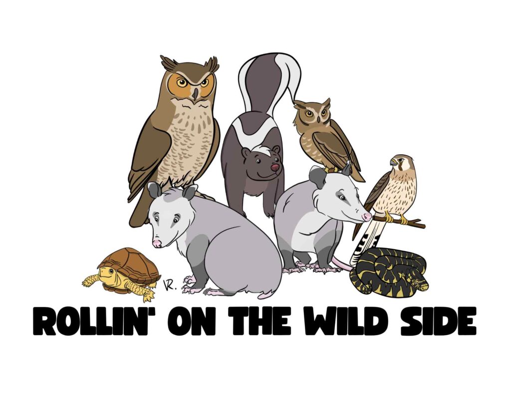 Youth environmental education programs and conservation leadership development